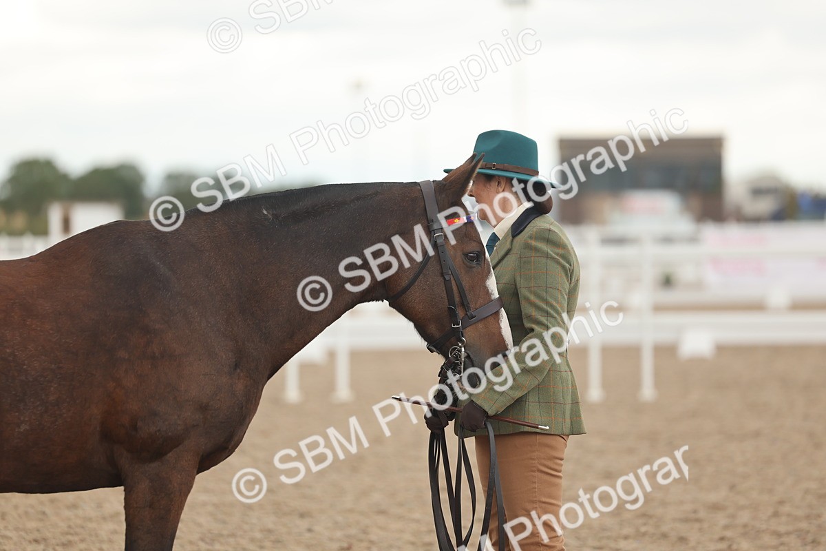 SBM_07653 - Class 26 - IH Foreign Breeds - Part Bred