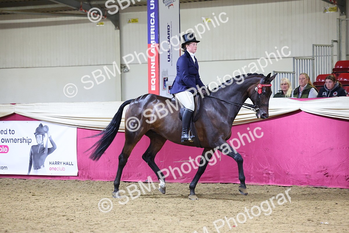 SBM_19071 - Class H Foreign Breeds Champ