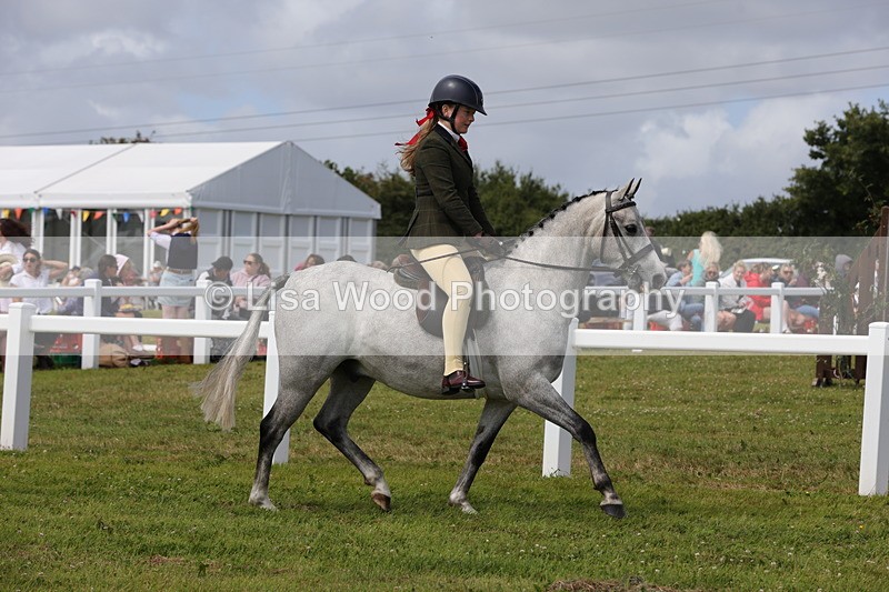 1X9A3940 - Class 32: Show Hunter Pony 153cm and under