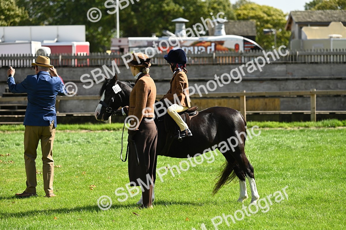 SBM_02879 - S3 - TSR Ridden Pony Showing