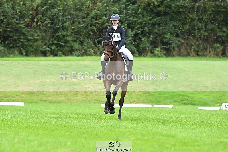 241024-121358-03340 - 511-Rosie.Doe-LOUIS