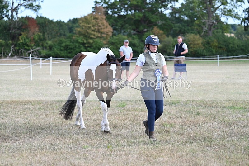 WJ7_8304 - In-hand Championship