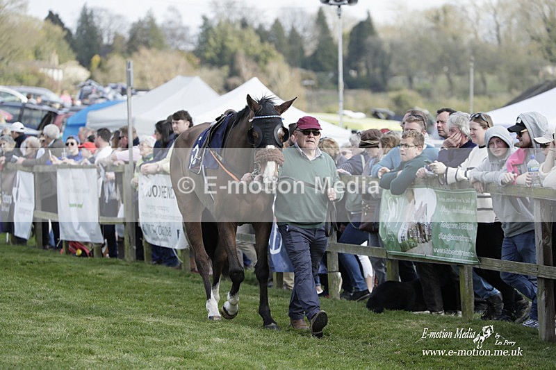 PtP 080423 470 - Dingley Races The Woodland Pytchley Hunt PtP 08/04/23
