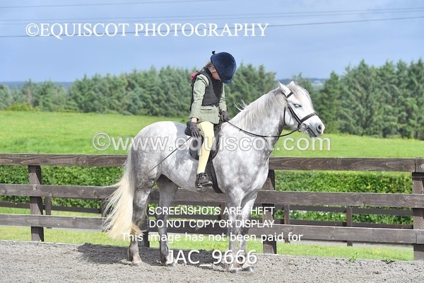 JAC_9666 - CLASS 1 Nursery Novice Working Hunter (0.50m)