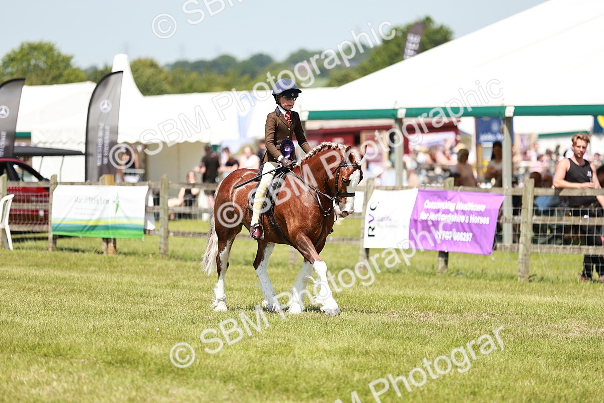 SBM_15759 - Class 108-109 - BSPS LIHS Open Gradle & Nursery Stakes