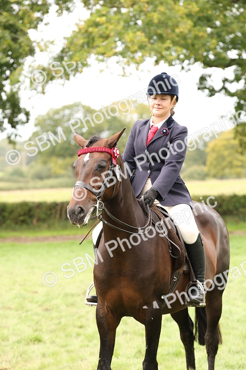SBM_64290 - S65 - Riding Horse & Hack & Thoroughbred Ridden