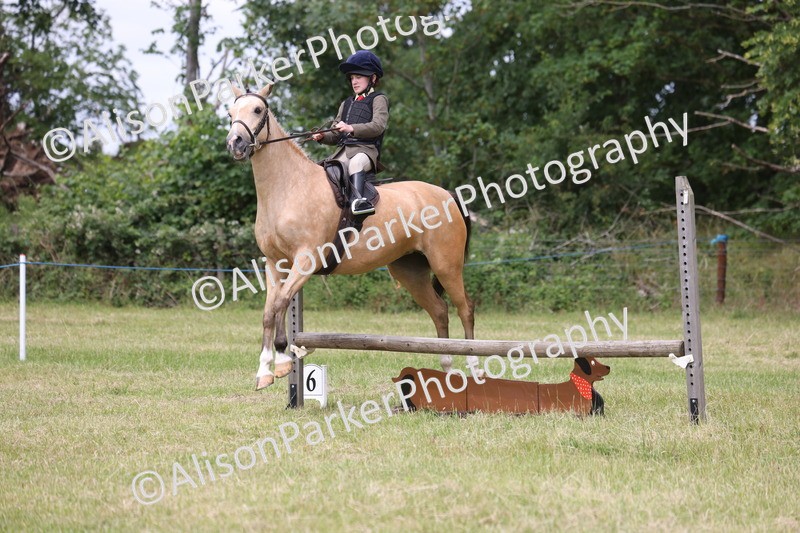 20260614-2958 - Class 22 - Open Working Hunter
