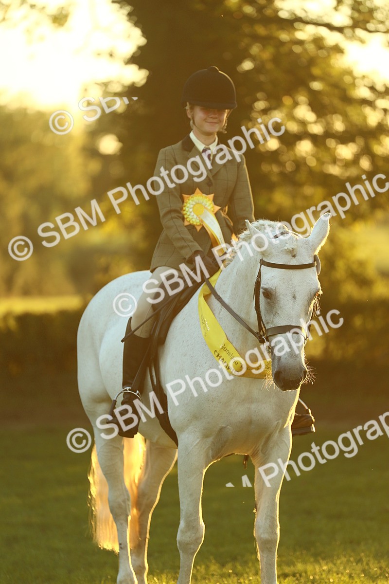SBM_56649 - Fun & Versatile Supreme Championship