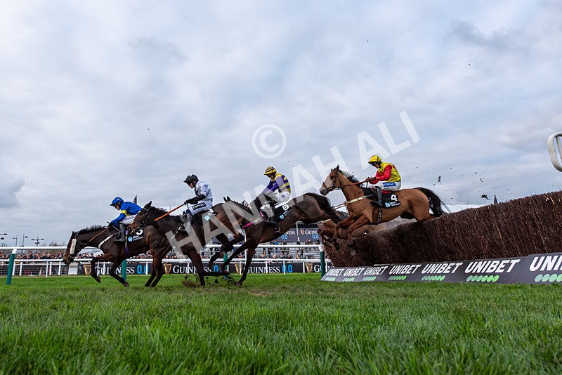 161125-Race 3-Triple Trade-3013 - Race 3