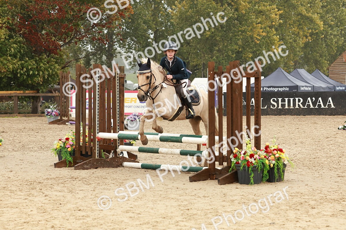 SBM_73302 - Supreme Championship Junior Pony 60cm & 65cm
