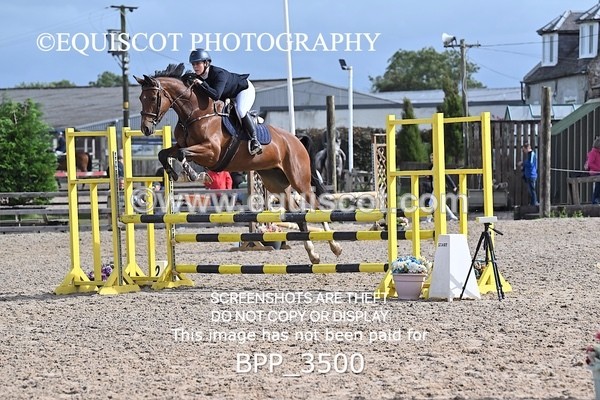 BPP_3500 - CLASS 36 SUN Senior British Novice/ 90cm Open