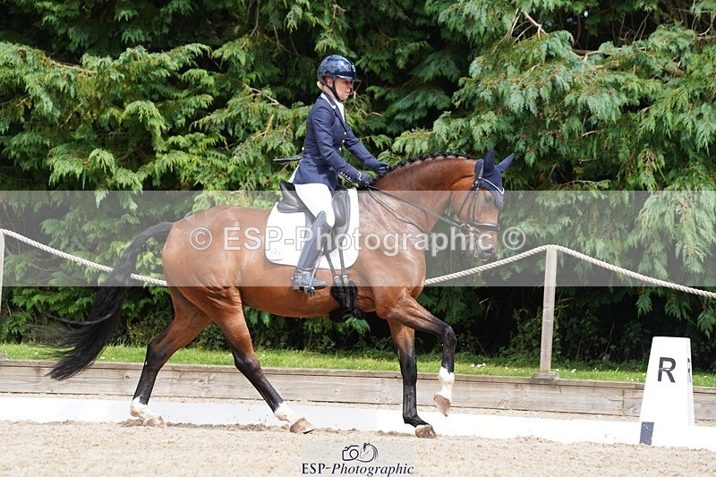 240721-151426-10031 - 195-Dawn_Bear-First_Taylor_Made