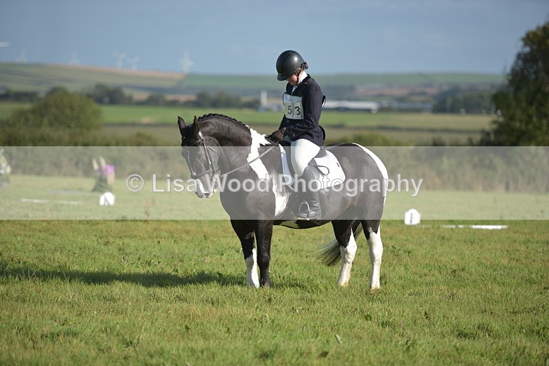 RAY_7350 - Class 2B: Trekenning Open: Dressage
