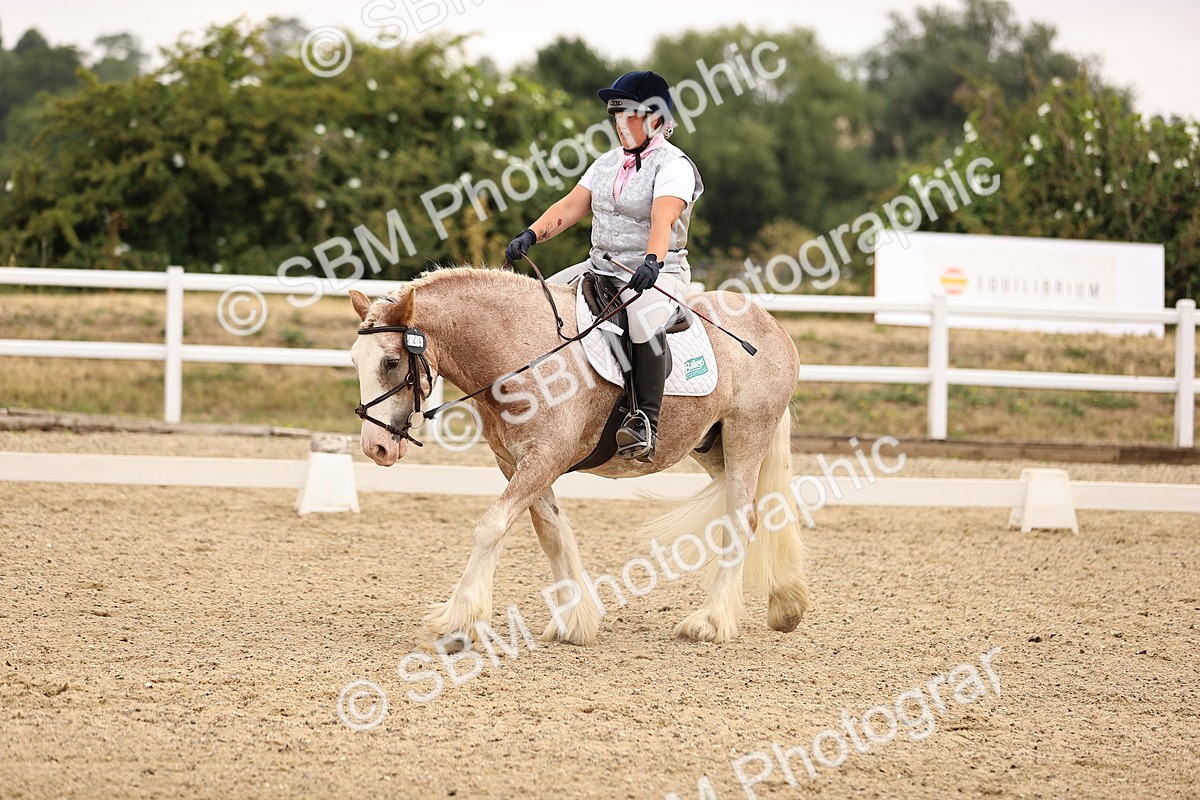 SBM_006428 - Intro 3 - 9.46-10.46