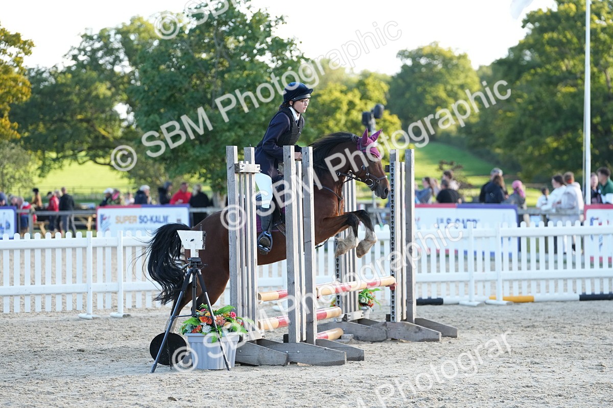 SBM_53980 - J8 - Junior Pony 65cm Championship