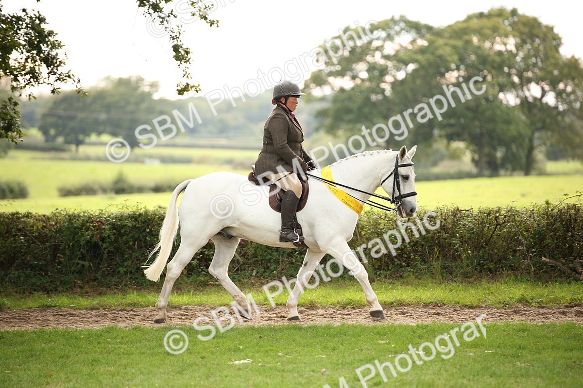 SBM_73623 - Ridden Horse Supreme Championship