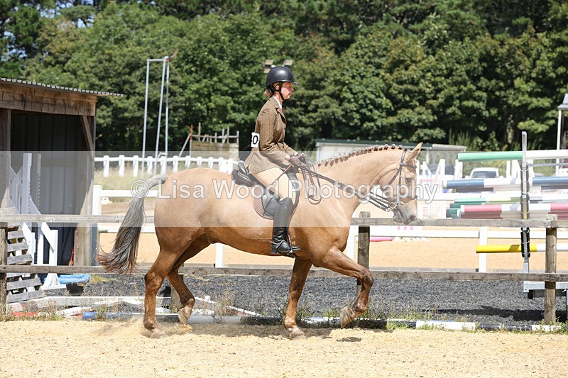 1X9A8816 - Class 19: Riding Club Horse