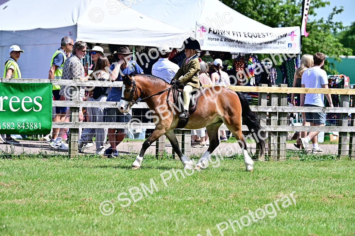 SBM_06115 - Class 59-60 - TSR M&M  Lear Rein and First Ridden Amateur of the year