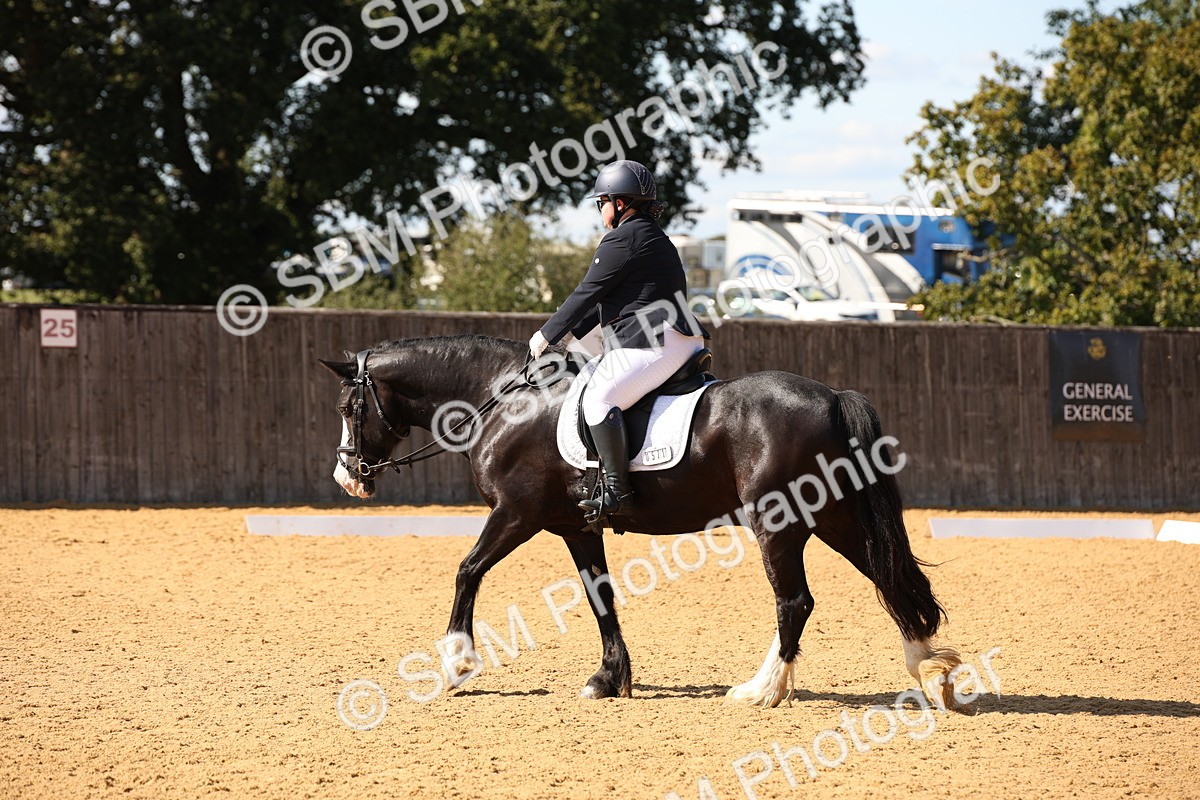 SBM_24239 - D5 - Small Tour Championship - Intro C