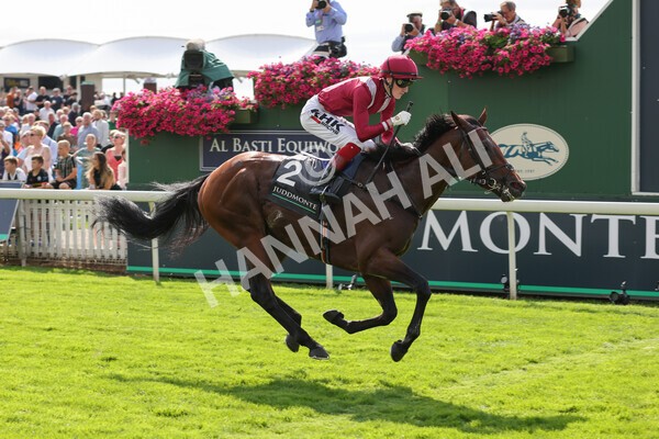 yr18082021r4-83 - Race 4 3.35pm Juddmonte International Stakes (British Champion Series race)