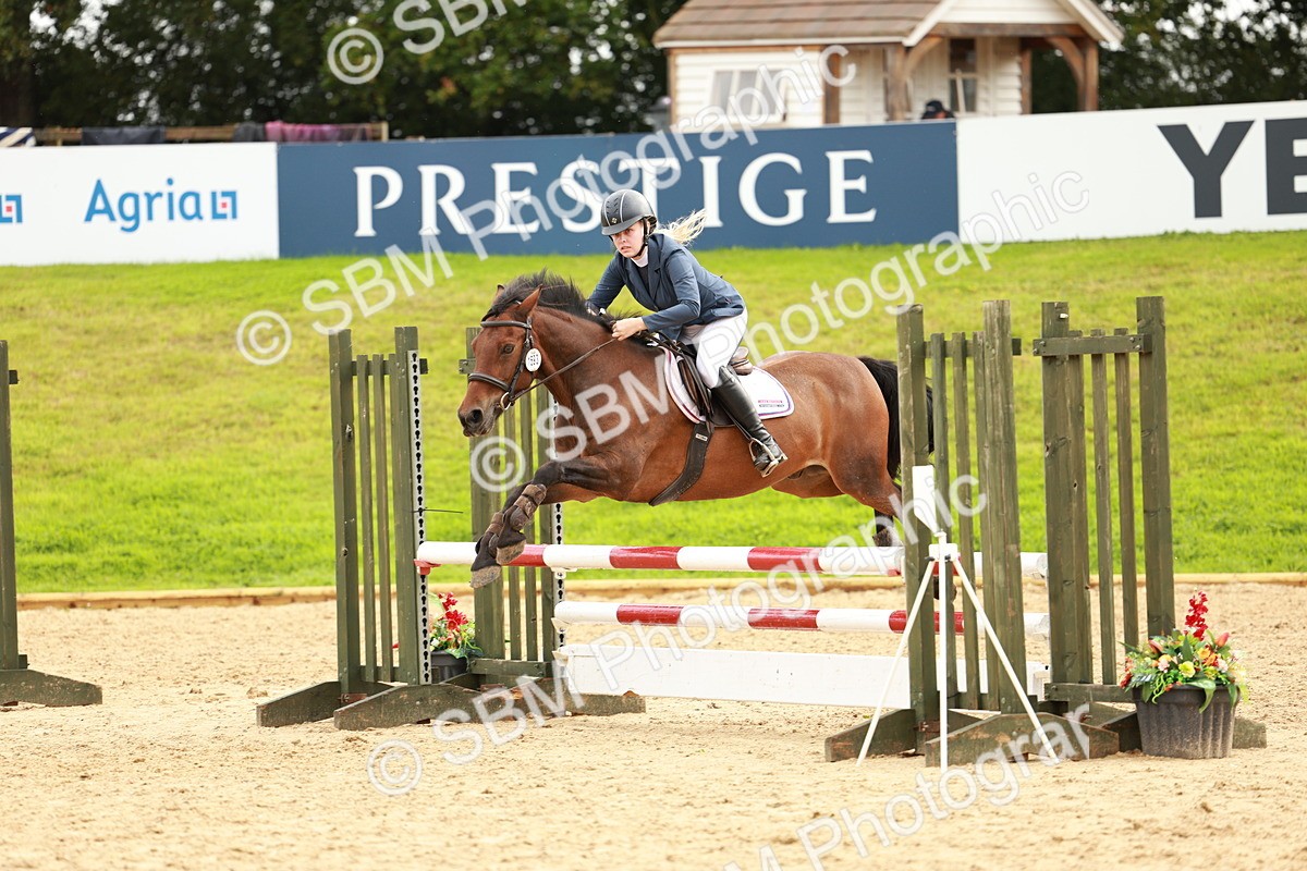 SBM_38466 - Supreme Championship 80cm 85cm