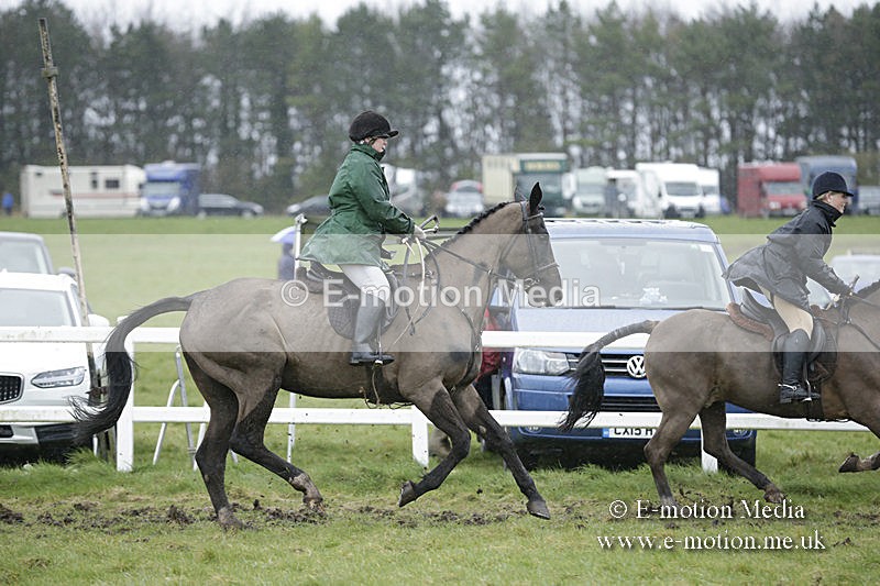 PtP 150320 0380 - New Forest Point-to-Point Larkhill 15/03/20
