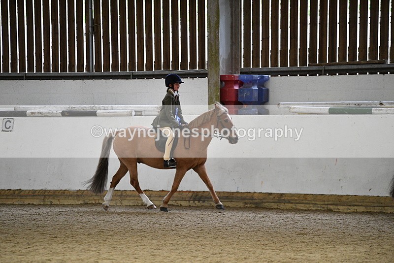 WJ5_7392 - Class 11 Ridden PC - RC Pony