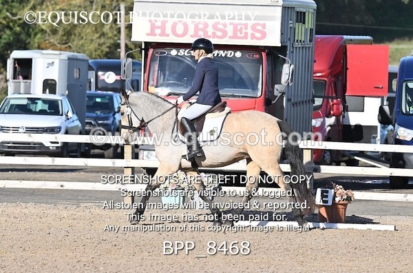 BPP_8468 - SHORT ARENA INTRO 1