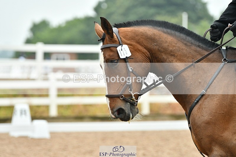 230708A-141415-02891 - Elementary 43