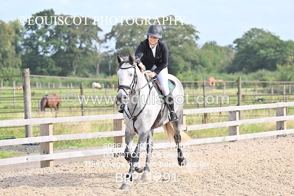 BPP_1291 - CLASS 3 Senior BritiNovice/ 90cm Open