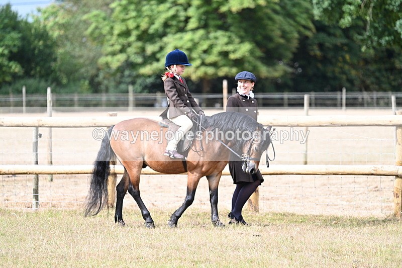 WJ7_6396 - Class 1 Lead Rein Pony