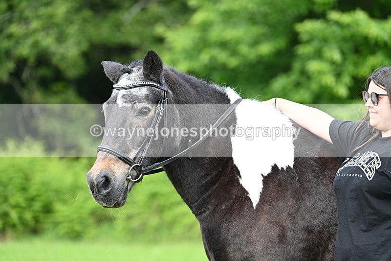WJ7_1647 - Class 11 Condition & Turnout