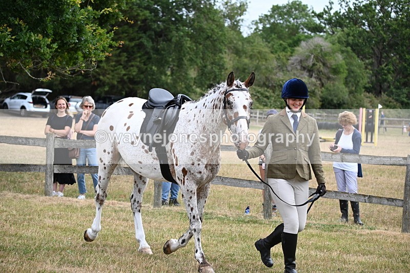 WJ6_3856 - Class 9 Tack & Turnout