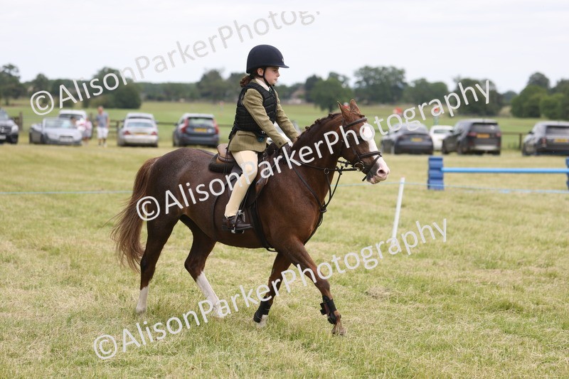 20260614-3020 - Class 22 - Open Working Hunter