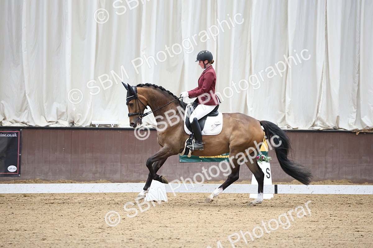 SBM_002171 - Class 5 - Novice 6 Gold - 9.00-10.10