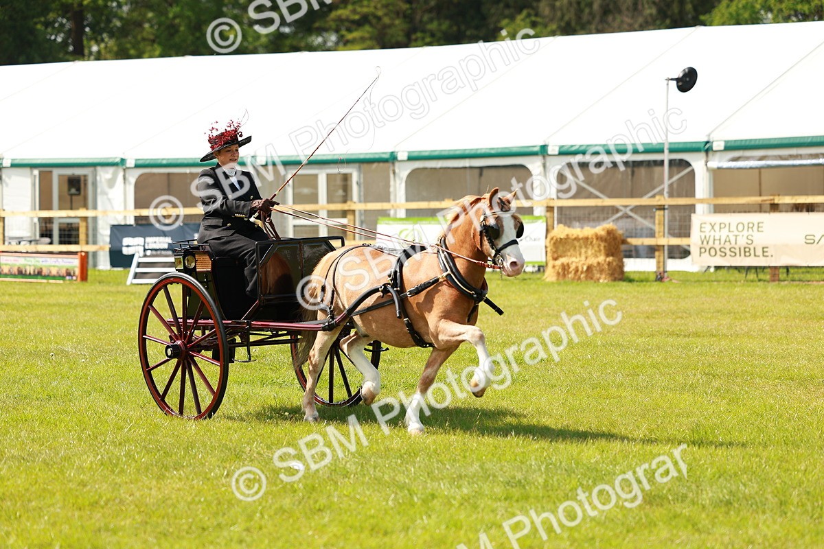 SBM_02669 - Class 2-4 - HOYS Private Driving