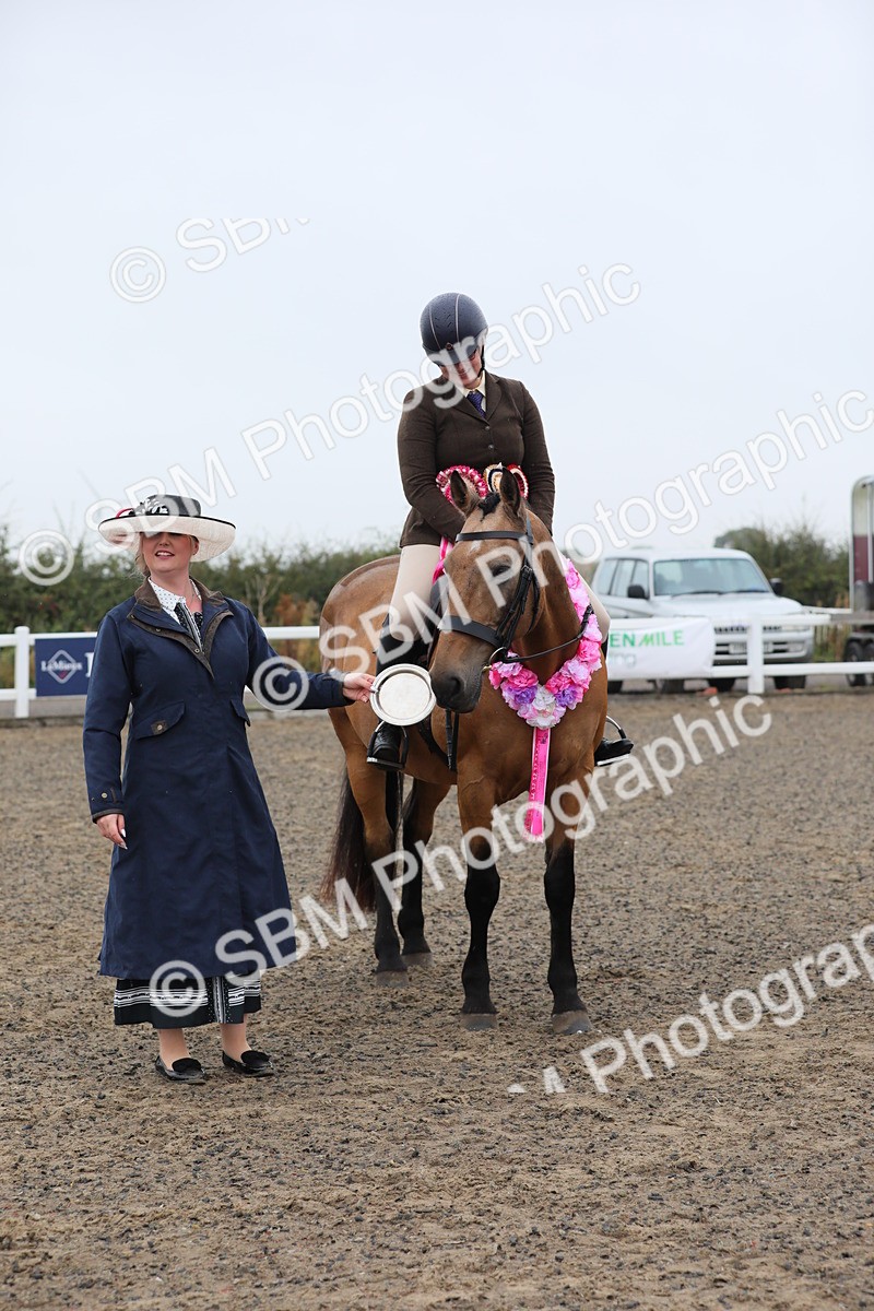 SBM_19960 - Class 801 - Ridden Veteran
