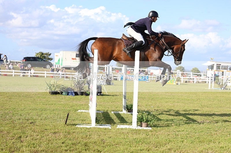 3E7A4417 - Class C: Showjumping Senior Foxhunter