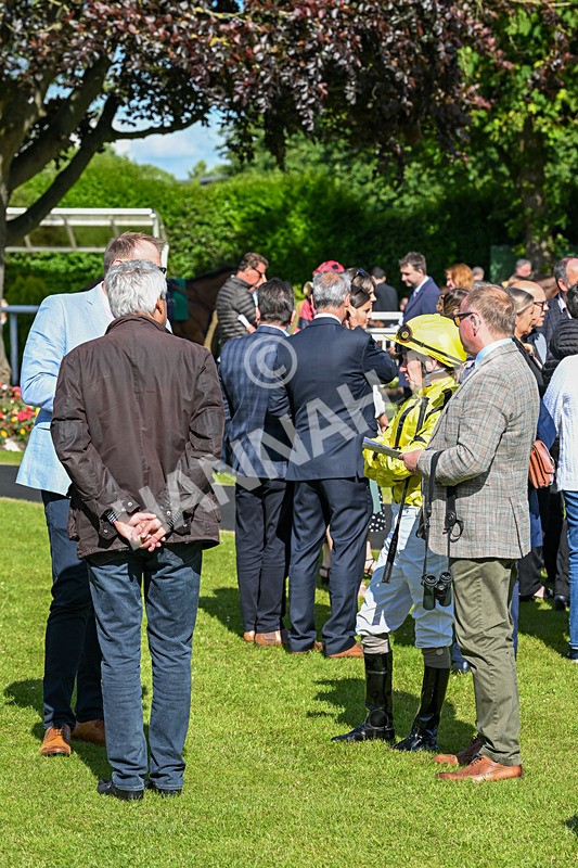 160624-Race 4-Align The Stars-8612 - Race 4