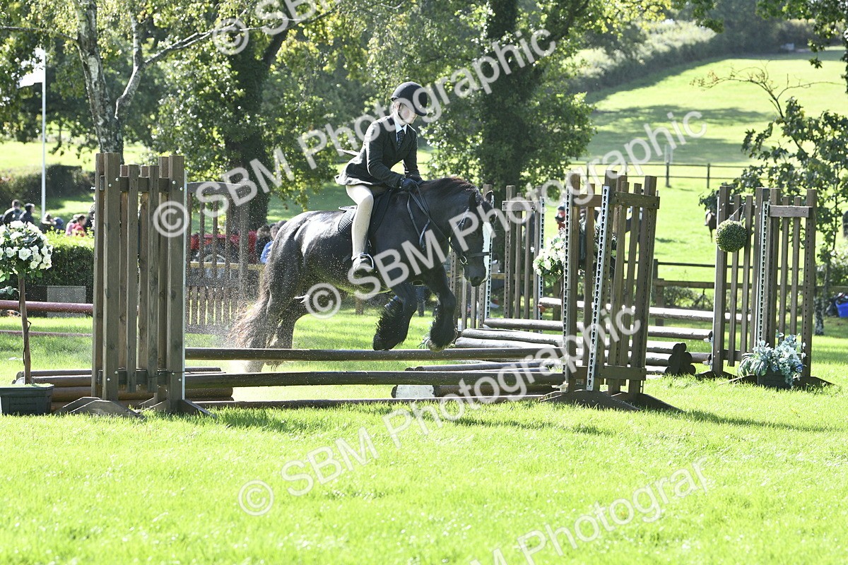 SBM_38165 - S31 - Novice & Newcomer Working Hunter Pony