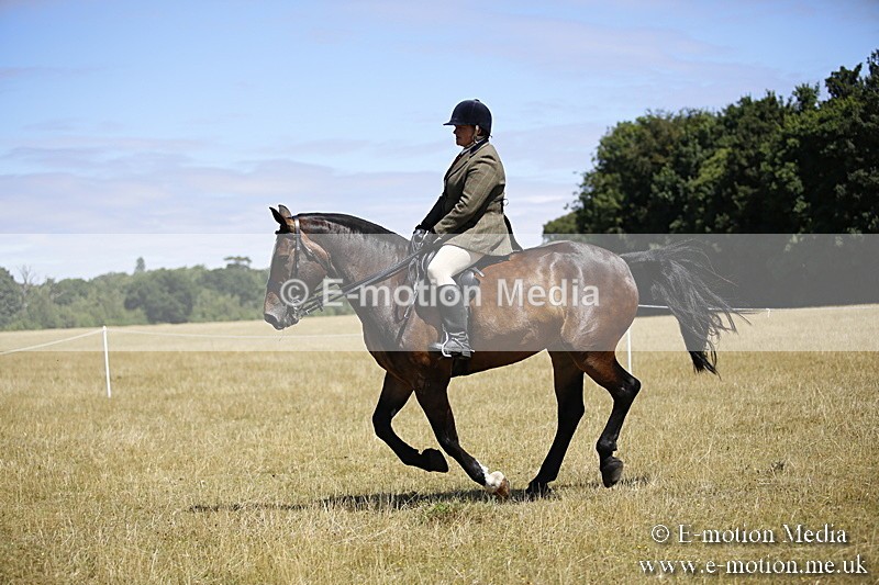 _C7A9915 - BVRC Show 2018 Ring 1