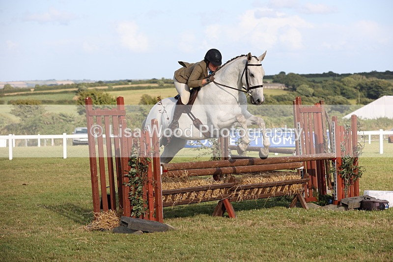 JPP_3488 - Class 22: Working Hunter 90cm