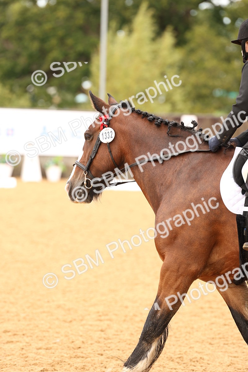 SBM_03434 - D1 - Small Tour Championship Intro 1