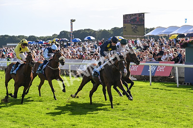 060926-Race 5-Extremely Zain-8404 - Race 5 3.50pm Starman At Tally Ho Stud Garrowby Stakes