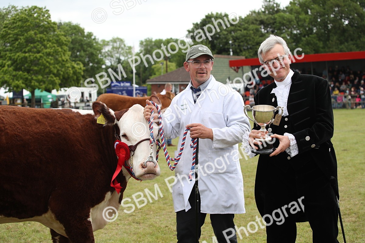 SBM_07912 - Grand Parade