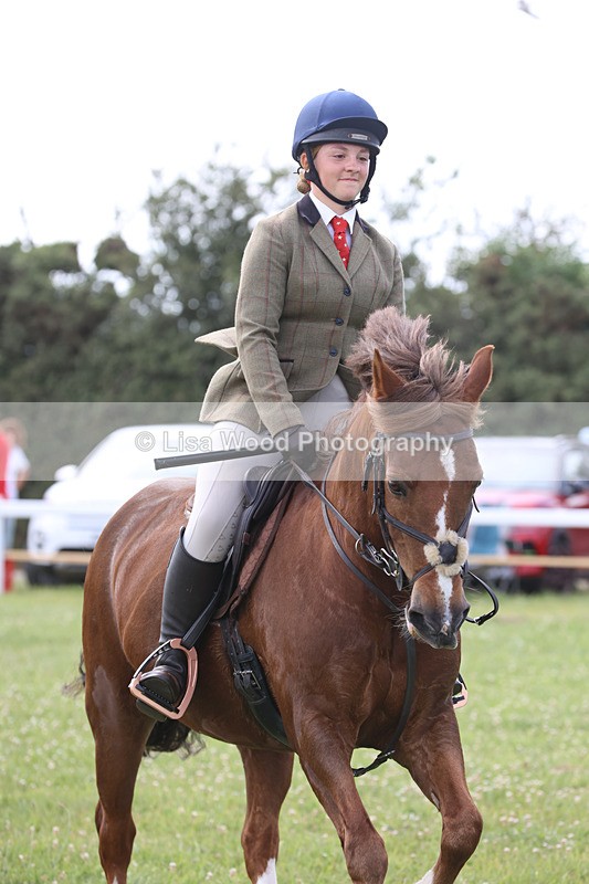 JPP_3903 - Class 23: Working Hunter 80cm