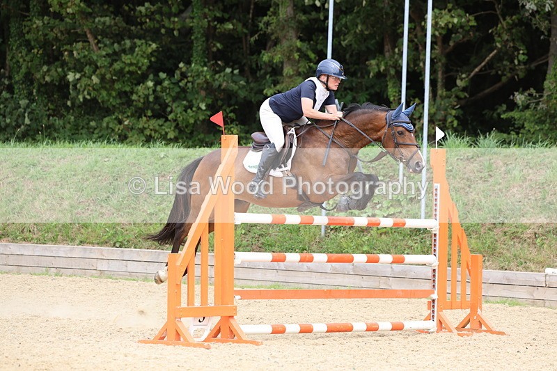 3E7A6531 - Class 9: Senior Foxhunter/1.20 open