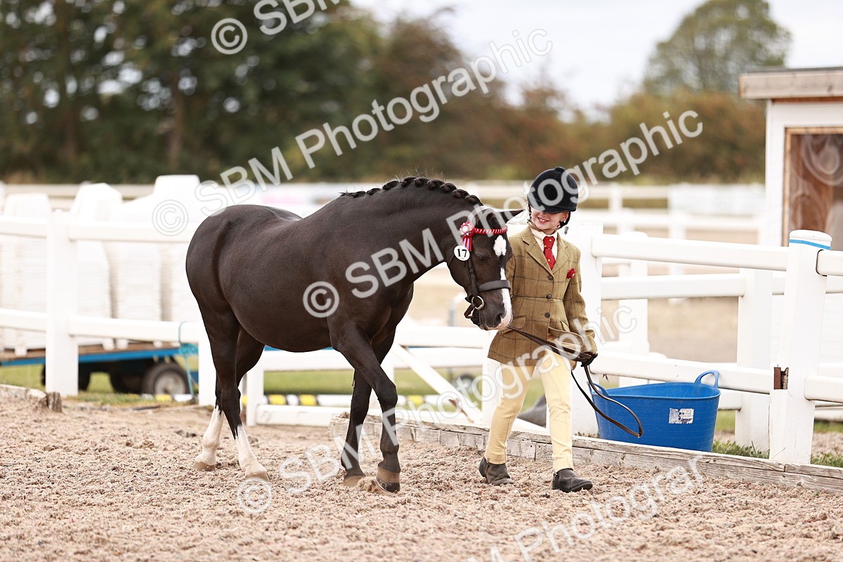 SBM_18540 - Class 421 - Childs Best Friend - Jnr