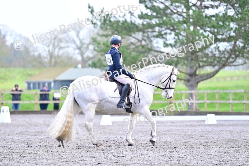 20260125-3641 - Class 12 - Novice