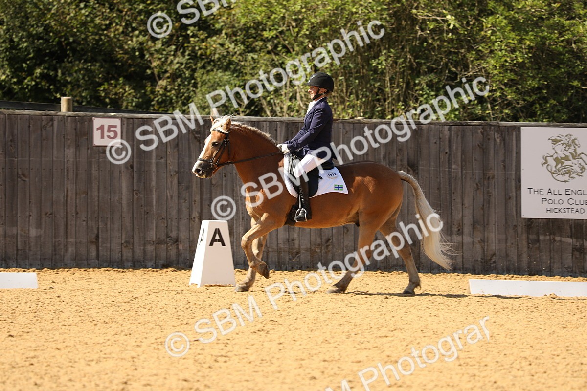 SBM_22405 - D17 - Grand Tour Championship - Novice 27
